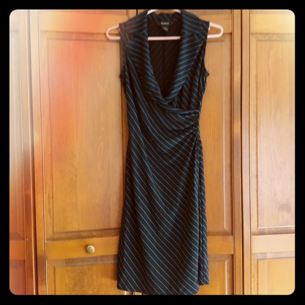 Express Pinstripe Dress